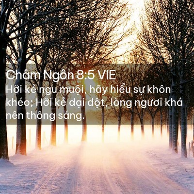 Picture 02 - Châm Ngôn 8:5 VIE - Hỡi kẻ ngu muội, hãy hiểu sự khôn - Bible Verse Picture