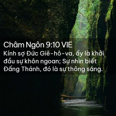 Picture 02 - Châm Ngôn 9:10 VIE - Kính sợ Đức Giê-hô-va, ấy là khởi - Bible Verse Picture