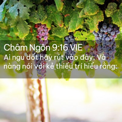 Picture 02 - Châm Ngôn 9:16 VIE - Ai ngu dốt hãy rút vào đây; Và nàng nói - Bible Verse Picture