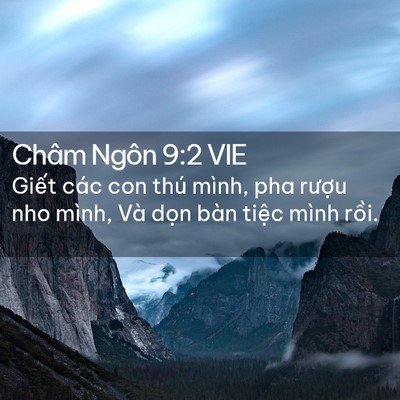 Picture 02 - Châm Ngôn 9:2 VIE - Giết các con thú mình, pha rượu nho - Bible Verse Picture