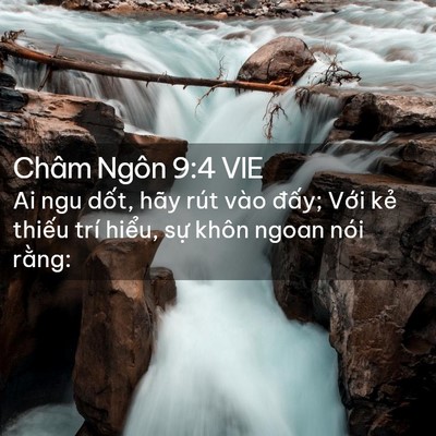 Picture 02 - Châm Ngôn 9:4 VIE - Ai ngu dốt, hãy rút vào đấy; Với kẻ - Bible Verse Picture