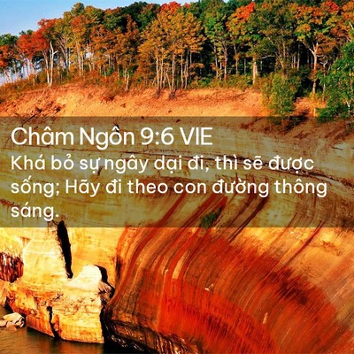 Picture 02 - Châm Ngôn 9:6 VIE - Khá bỏ sự ngây dại đi, thì sẽ - Bible Verse Picture