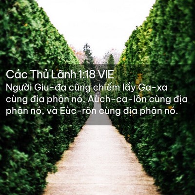 Picture 02 - Các Thủ Lãnh 1:18 VIE - Người Giu-đa cũng chiếm lấy Ga-xa cùng - Bible Verse Picture