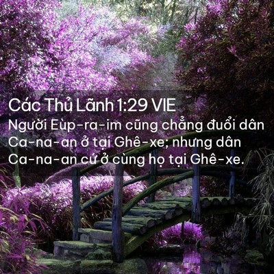 Picture 02 - Các Thủ Lãnh 1:29 VIE - Người Eùp-ra-im cũng chẳng đuổi dân - Bible Verse Picture