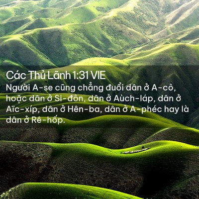 Picture 02 - Các Thủ Lãnh 1:31 VIE - Người A-se cũng chẳng đuổi dân ở - Bible Verse Picture