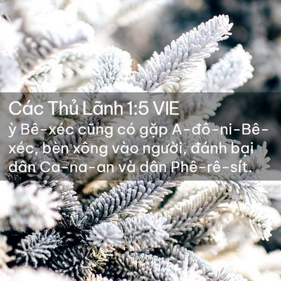 Picture 02 - Các Thủ Lãnh 1:5 VIE - ỳ Bê-xéc cũng có gặp A-đô-ni-Bê-xéc, - Bible Verse Picture