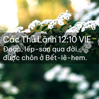 Picture 02 - Các Thủ Lãnh 12:10 VIE - Đoạn, Iếp-san qua đời, được chôn ở - Bible Verse Picture