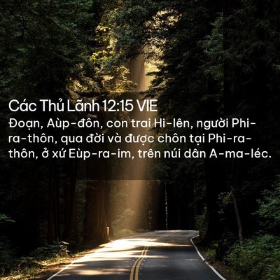 Picture 02 - Các Thủ Lãnh 12:15 VIE - Đoạn, Aùp-đôn, con trai Hi-lên, người - Bible Verse Picture