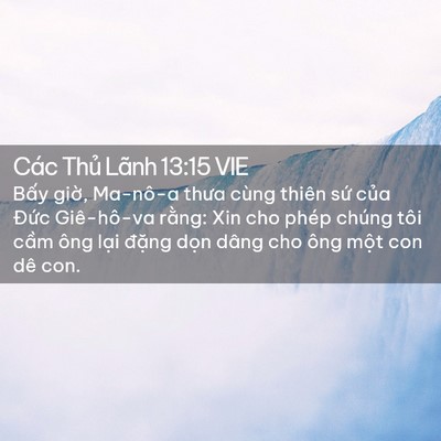 Picture 02 - Các Thủ Lãnh 13:15 VIE - Bấy giờ, Ma-nô-a thưa cùng thiên sứ - Bible Verse Picture