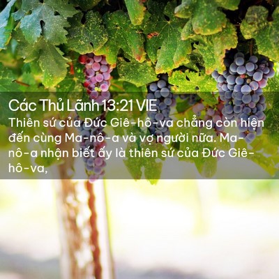 Picture 02 - Các Thủ Lãnh 13:21 VIE - Thiên sứ của Đức Giê-hô-va chẳng còn - Bible Verse Picture
