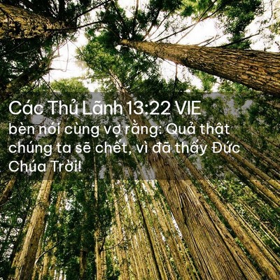 Picture 02 - Các Thủ Lãnh 13:22 VIE - bèn nói cùng vợ rằng: Quả thật chúng - Bible Verse Picture