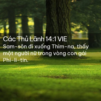 Picture 02 - Các Thủ Lãnh 14:1 VIE - Sam-sôn đi xuống Thim-na, thấy một - Bible Verse Picture