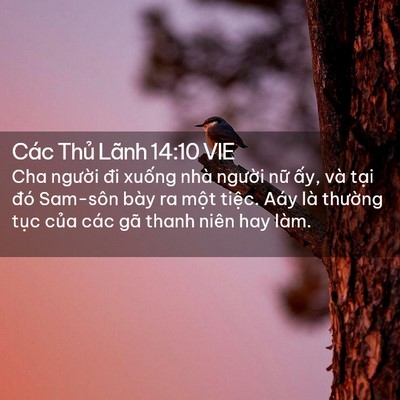 Picture 02 - Các Thủ Lãnh 14:10 VIE - Cha người đi xuống nhà người nữ ấy, - Bible Verse Picture