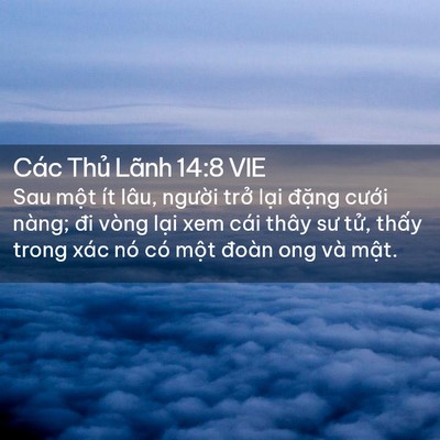 Picture 02 - Các Thủ Lãnh 14:8 VIE - Sau một ít lâu, người trở lại đặng - Bible Verse Picture