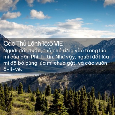Picture 02 - Các Thủ Lãnh 15:5 VIE - Người đốt đuốc, thả chó rừng vào - Bible Verse Picture