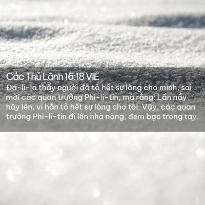 Picture 02 - Các Thủ Lãnh 16:18 VIE - Đa-li-la thấy người đã tỏ hết sự - Bible Verse Picture