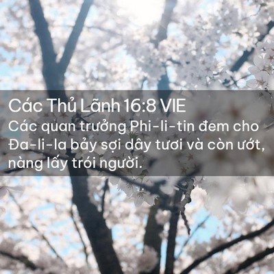 Picture 02 - Các Thủ Lãnh 16:8 VIE - Các quan trưởng Phi-li-tin đem cho Đa-li-la - Bible Verse Picture