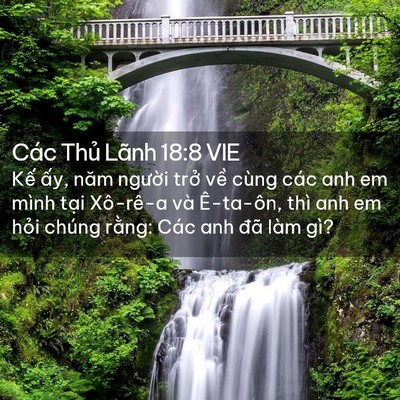 Picture 02 - Các Thủ Lãnh 18:8 VIE - Kế ấy, năm người trở về cùng các - Bible Verse Picture