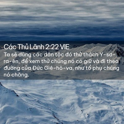 Picture 02 - Các Thủ Lãnh 2:22 VIE - Ta sẽ dùng các dân tộc đó thử thách - Bible Verse Picture