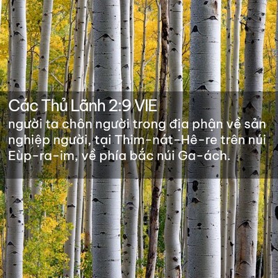 Picture 02 - Các Thủ Lãnh 2:9 VIE - người ta chôn người trong địa phận - Bible Verse Picture