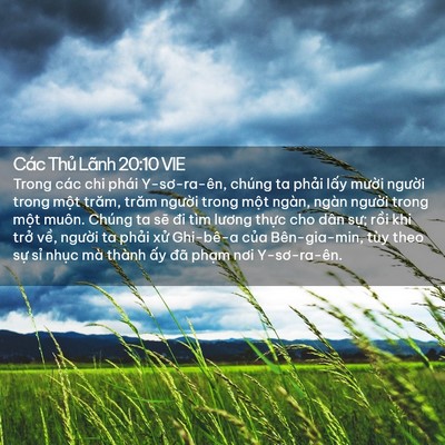 Picture 02 - Các Thủ Lãnh 20:10 VIE - Trong các chi phái Y-sơ-ra-ên, chúng ta - Bible Verse Picture