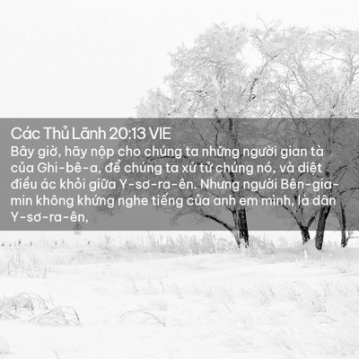 Picture 02 - Các Thủ Lãnh 20:13 VIE - Bây giờ, hãy nộp cho chúng ta những - Bible Verse Picture