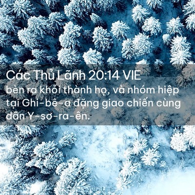 Picture 02 - Các Thủ Lãnh 20:14 VIE - bèn ra khỏi thành họ, và nhóm hiệp - Bible Verse Picture
