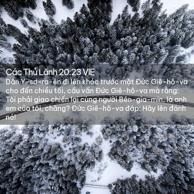 Picture 02 - Các Thủ Lãnh 20:23 VIE - Dân Y-sơ-ra-ên đi lên khóc trước mặt - Bible Verse Picture