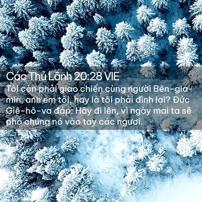 Picture 02 - Các Thủ Lãnh 20:28 VIE - Tôi còn phải giao chiến cùng người - Bible Verse Picture