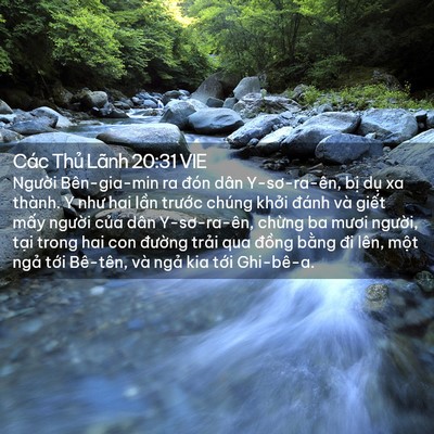 Picture 02 - Các Thủ Lãnh 20:31 VIE - Người Bên-gia-min ra đón dân Y-sơ-ra-ên, - Bible Verse Picture