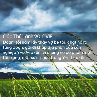 Picture 02 - Các Thủ Lãnh 20:6 VIE - Đoạn, tôi nắm lấy thây vợ bé tôi, - Bible Verse Picture