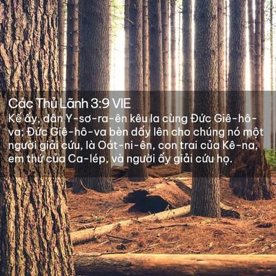 Picture 02 - Các Thủ Lãnh 3:9 VIE - Kế ấy, dân Y-sơ-ra-ên kêu la cùng Đức - Bible Verse Picture