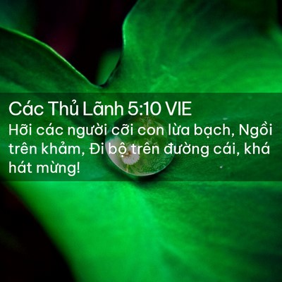 Picture 02 - Các Thủ Lãnh 5:10 VIE - Hỡi các người cỡi con lừa bạch, - Bible Verse Picture