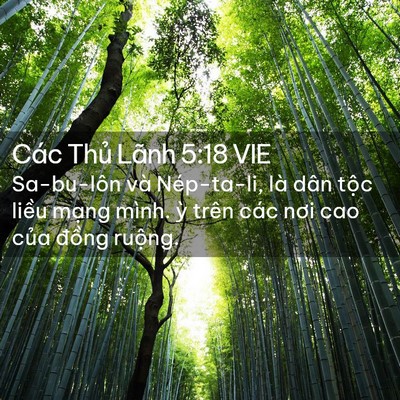 Picture 02 - Các Thủ Lãnh 5:18 VIE - Sa-bu-lôn và Nép-ta-li, là dân tộc liều - Bible Verse Picture