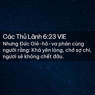 Picture 02 - Các Thủ Lãnh 6:23 VIE - Nhưng Đức Giê-hô-va phán cùng người - Bible Verse Picture