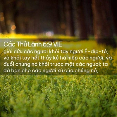 Picture 02 - Các Thủ Lãnh 6:9 VIE - giải cứu các ngươi khỏi tay người - Bible Verse Picture