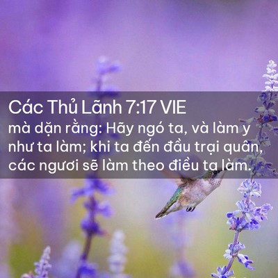Picture 02 - Các Thủ Lãnh 7:17 VIE - mà dặn rằng: Hãy ngó ta, và làm y như - Bible Verse Picture