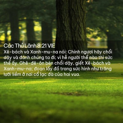 Picture 02 - Các Thủ Lãnh 8:21 VIE - Xê-bách và Xanh-mu-na nói: Chính ngươi - Bible Verse Picture