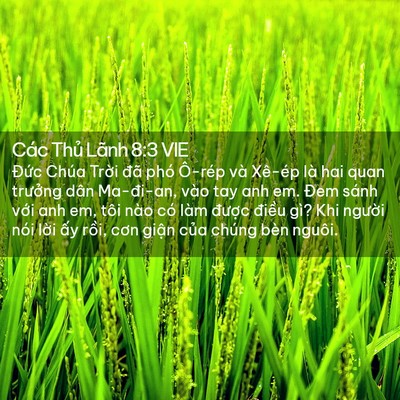 Picture 02 - Các Thủ Lãnh 8:3 VIE - Đức Chúa Trời đã phó Ô-rép và Xê-ép - Bible Verse Picture