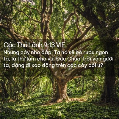 Picture 02 - Các Thủ Lãnh 9:13 VIE - Nhưng cây nho đáp: Ta há sẽ bỏ rượu - Bible Verse Picture