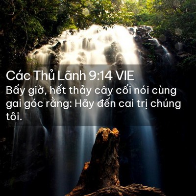 Picture 02 - Các Thủ Lãnh 9:14 VIE - Bấy giờ, hết thảy cây cối nói cùng - Bible Verse Picture
