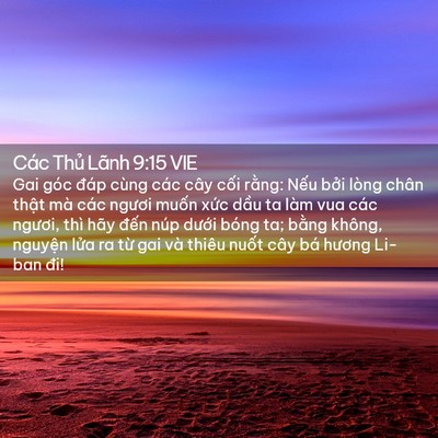 Picture 02 - Các Thủ Lãnh 9:15 VIE - Gai góc đáp cùng các cây cối rằng: - Bible Verse Picture