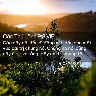 Picture 02 - Các Thủ Lãnh 9:8 VIE - Các cây cối đều đi đặng xức dầu - Bible Verse Picture