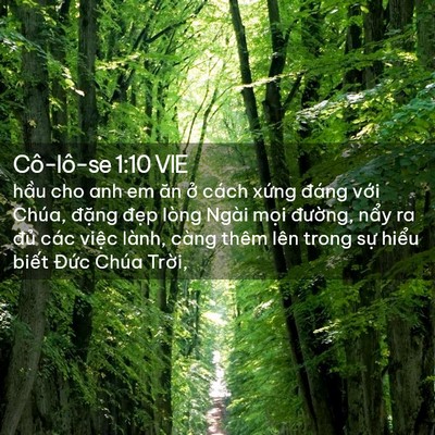 Picture 02 - Cô-lô-se 1:10 VIE - hầu cho anh em ăn ở cách xứng đáng - Bible Verse Picture