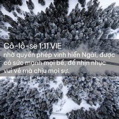Picture 02 - Cô-lô-se 1:11 VIE - nhờ quyền phép vinh hiển Ngài, được - Bible Verse Picture