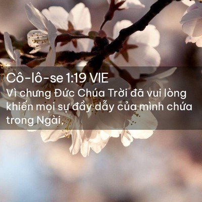 Picture 02 - Cô-lô-se 1:19 VIE - Vì chưng Đức Chúa Trời đã vui lòng - Bible Verse Picture