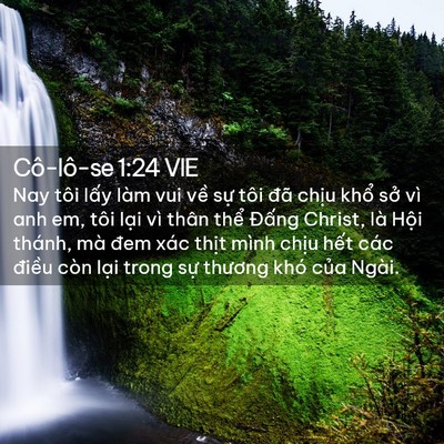 Picture 02 - Cô-lô-se 1:24 VIE - Nay tôi lấy làm vui về sự tôi đã - Bible Verse Picture