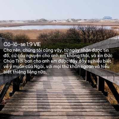 Picture 02 - Cô-lô-se 1:9 VIE - Cho nên, chúng tôi cũng vậy, từ ngày - Bible Verse Picture
