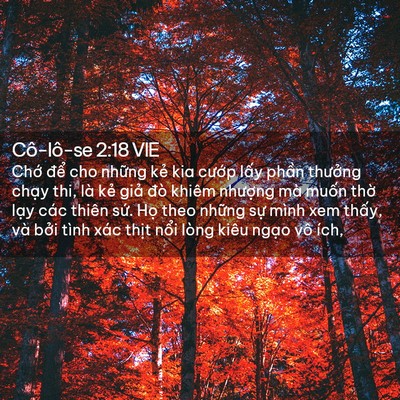 Picture 02 - Cô-lô-se 2:18 VIE - Chớ để cho những kẻ kia cướp lấy - Bible Verse Picture
