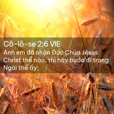 Picture 02 - Cô-lô-se 2:6 VIE - Anh em đã nhận Đức Chúa Jêsus Christ - Bible Verse Picture